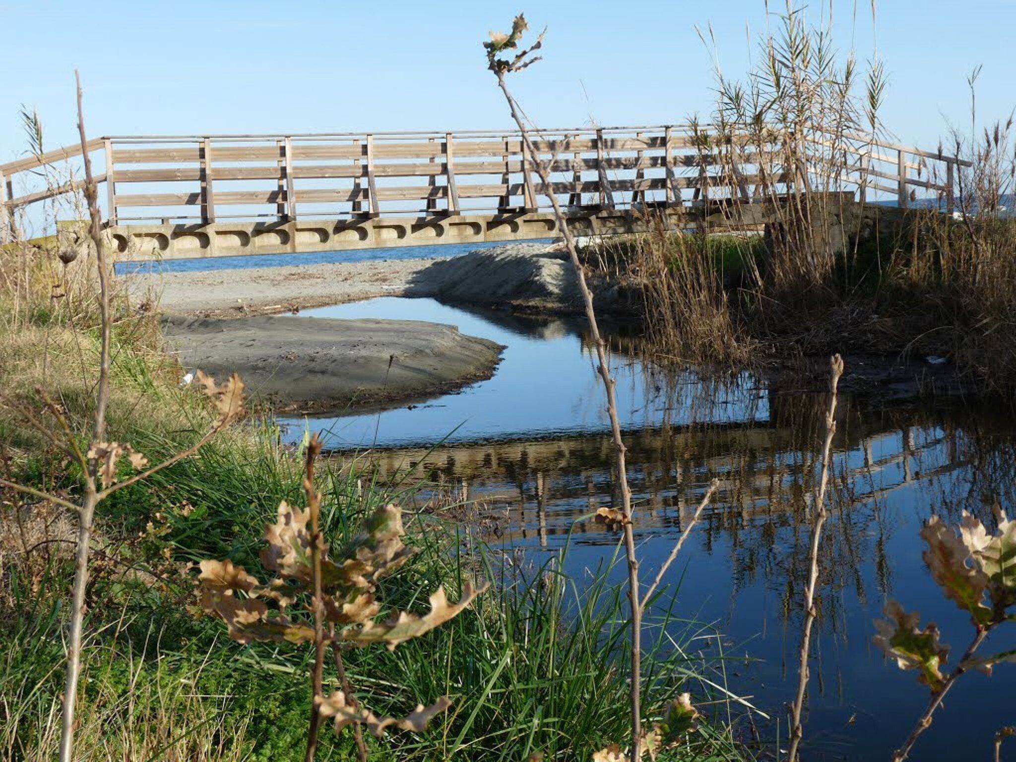 A wooden bridge over a calm water body with surrounding vegetation.