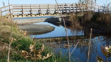 A wooden bridge over a calm water body with surrounding vegetation.