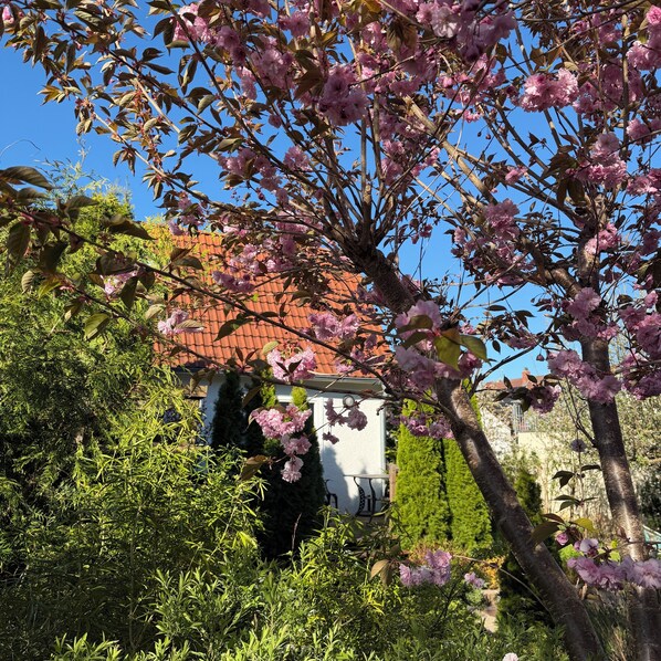 Un jardin avec des arbres en fleurs, un bâtiment avec un toit rouge et un ciel bleu dégagé.