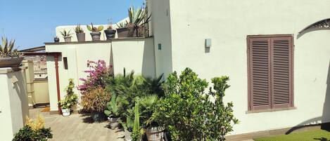 A rooftop garden with various potted plants and a small patch of artificial grass.