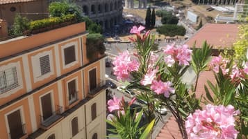 Blick auf das Kolosseum, im Vordergrund rosafarbene Blumen.