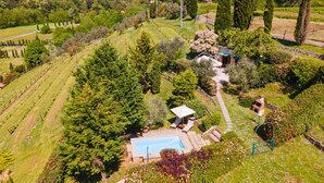 An aerial view of a property with a swimming pool, garden, and vineyard. - Rustic house with private pool – exclusive use (San Martino in Freddana)