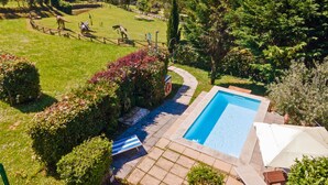 A swimming pool surrounded by a garden with a view of a village and hills. - Rustic house with private pool – exclusive use (San Martino in Freddana)