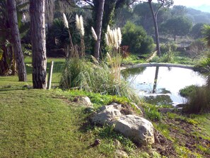 Property grounds - VILLA  WITH LUXURY  PARK, 8.000m2 of GRASS AND LARGE POOL  COLARES -  SINTRA (Colares)