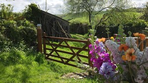 Un paisaje rural con un portón de madera, abundante vegetación y plantas en flor.