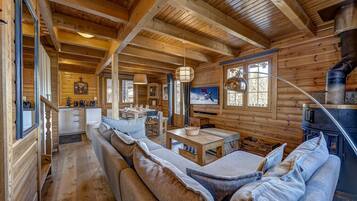 Télévision, cheminée, chaßne hi-fi