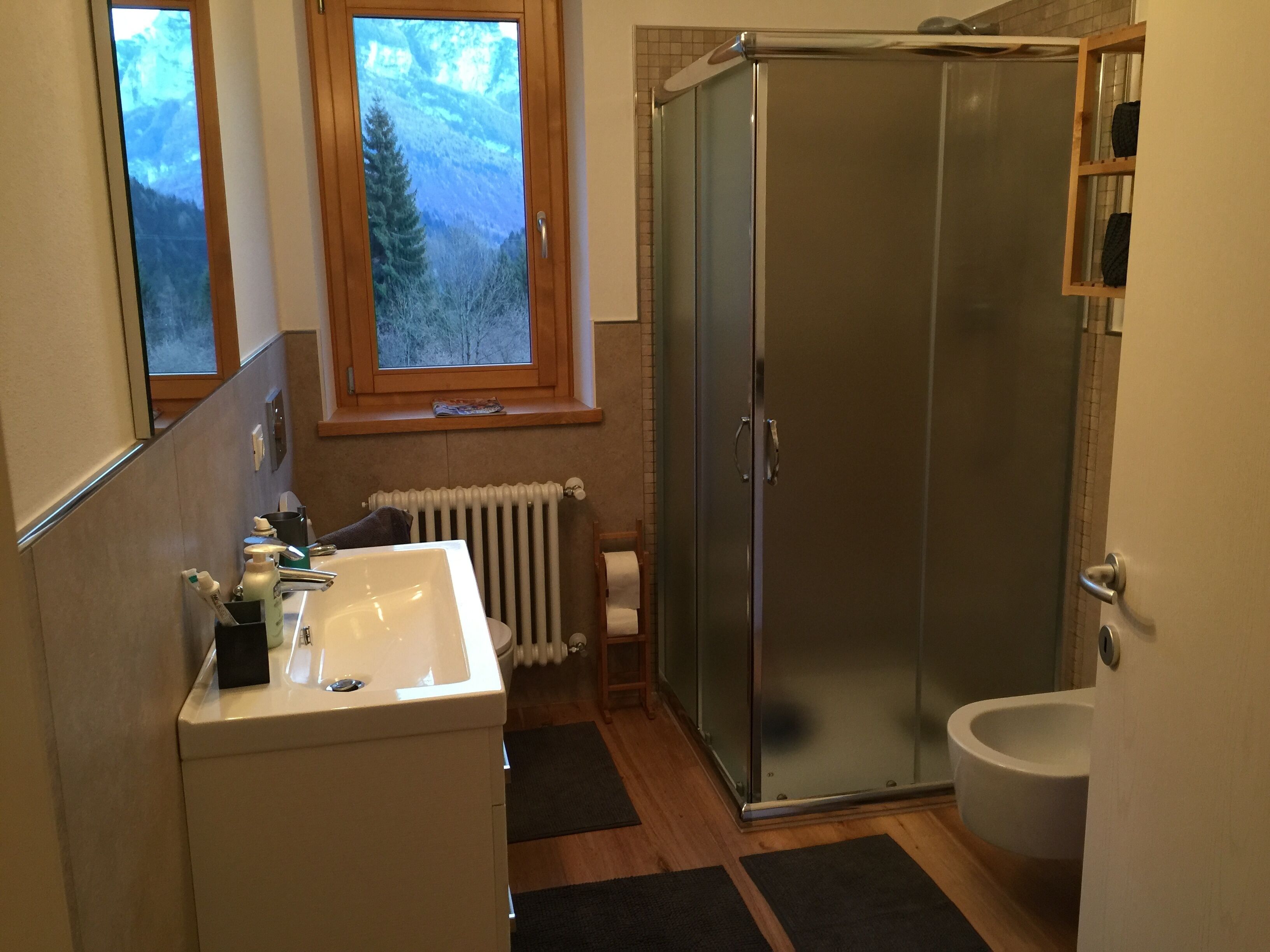 Shower, hair dryer, bidet, towels
