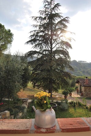 المنطقة المحيطة بالمنشأة