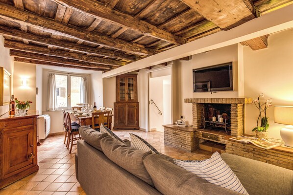 Smart TV, fireplace, books