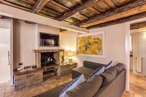 Smart TV, fireplace, books