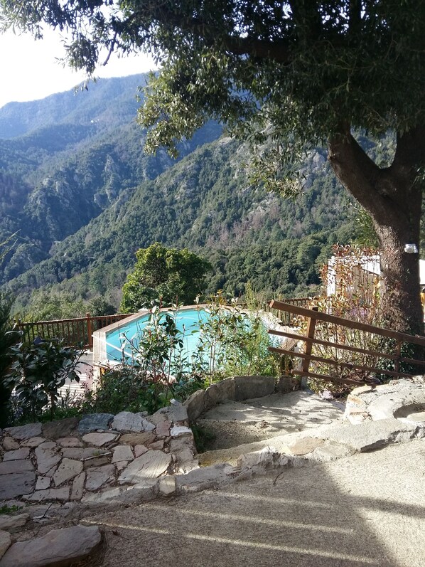 Property grounds - The casetta is located in the heart of the natural park of Corsica. (Lugo-Di-Nazza)