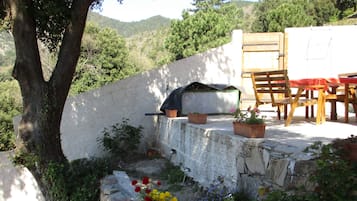 Terras