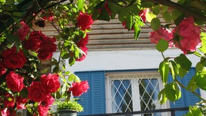 A balcony with a wooden railing, a potted plant, and red flowers.