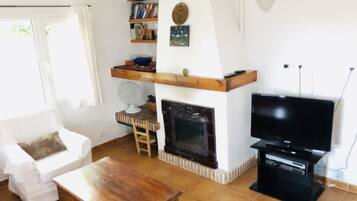 Smart TV, fireplace, DVD player, books