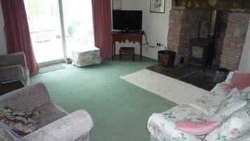 TV, fireplace, DVD player, books