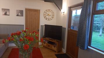 TV, video games, DVD player, music library