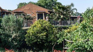 A house with a brown roof, surrounded by lush greenery and a garden with red flowers. - Country-house with pool and Etna and sea views (Acireale)
