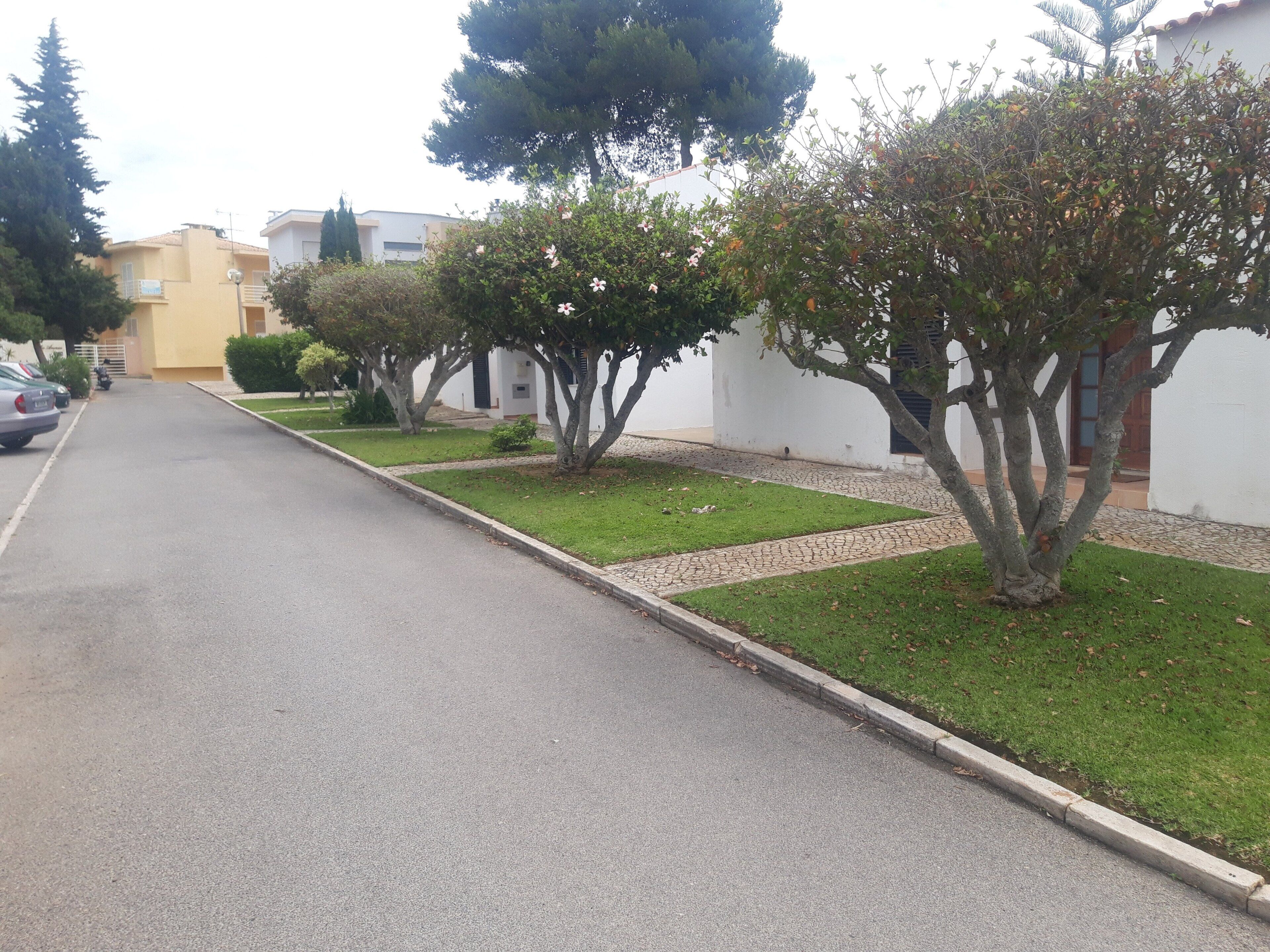 Une rue résidentielle bordée de maisons, avec une chaussée asphaltée et un trottoir.