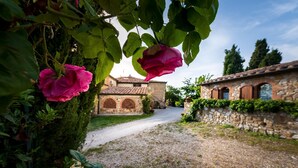 A cobblestone path leading to a stone building with arched windows and a rustic facade.