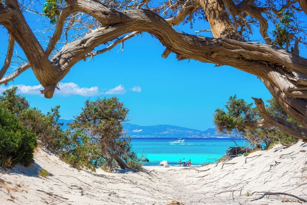 Playa en los alrededores y camastros 