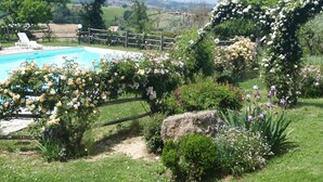 Un jardin agrémenté d’une piscine, entouré d’une végétation luxuriante et de plantes en fleurs.