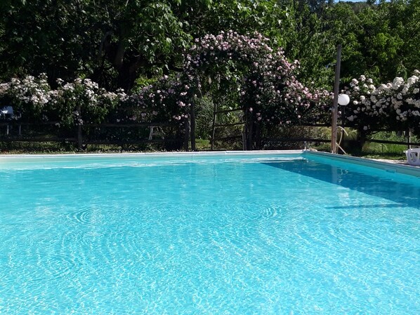 Une piscine d’eau cristalline, entourée d’une végétation luxuriante et d’arbres en fleurs.