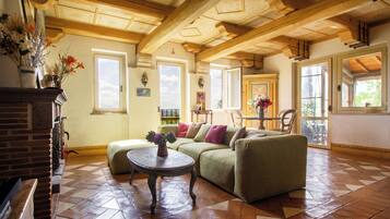 TV connectée, cheminée, lecteur de DVD, baby-foot