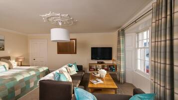 Smart TV, fireplace, books