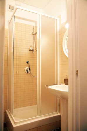 Shower, hair dryer, bidet, towels