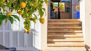 A sunlit outdoor area with a stone staircase leading to a building entrance. - Casa Son Bordoi, private pool & tranquility (Llubí)