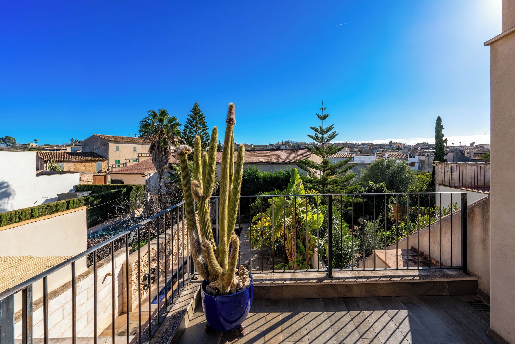 Ein Balkon mit einer großen Kakteenpflanze, Blick auf eine Wohngegend und blauem, wolkenlosem Himmel.