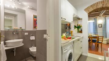 Shower, hair dryer, bidet, towels
