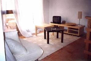 تلفزيون، كُتُب