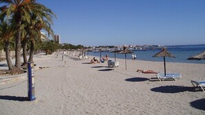 Una playa con palmeras, sillas de descanso y sombrillas.