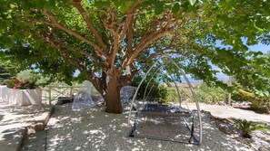 A tree with a swing set under it, surrounded by white pebbles and greenery.