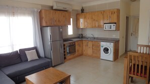 A compact living space with a kitchenette, a sofa, a coffee table, and a washing machine.