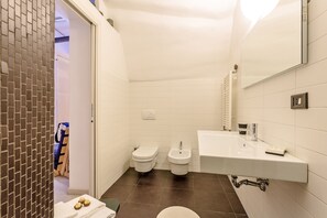 Shower, hair dryer, bidet, towels