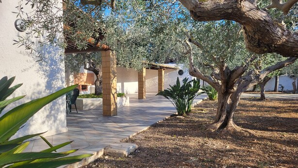 Une cour plantée d’oliviers, un chemin dallé et un bâtiment surmonté d’un toit en tuiles.