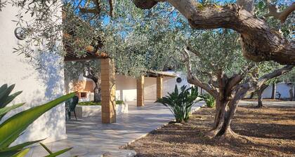 Maison / villa - Marsala