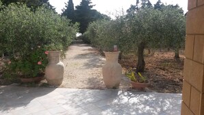 Un chemin bordé d’oliviers et de grands vases, qui mène à un bâtiment.