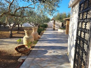 Property grounds - House / Villa - Marsala (Marsala)