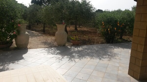 Terrasse/patio