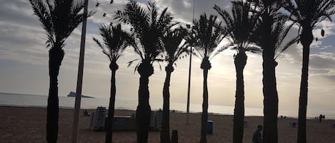 On the beach, sun-loungers, beach towels