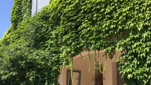 Um edifício com fachada branca e uma cobertura de hera verde. Dois lanternas pretas estão no chão e um vaso com flores vermelhas em frente.