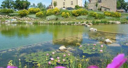 Country farmhouse with large organic swimming-pool and garden