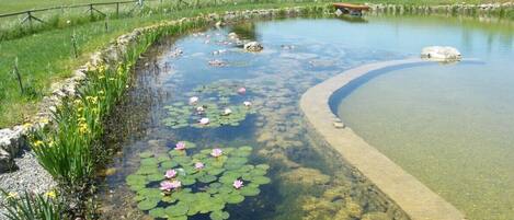 المنطقة المحيطة بالمنشأة