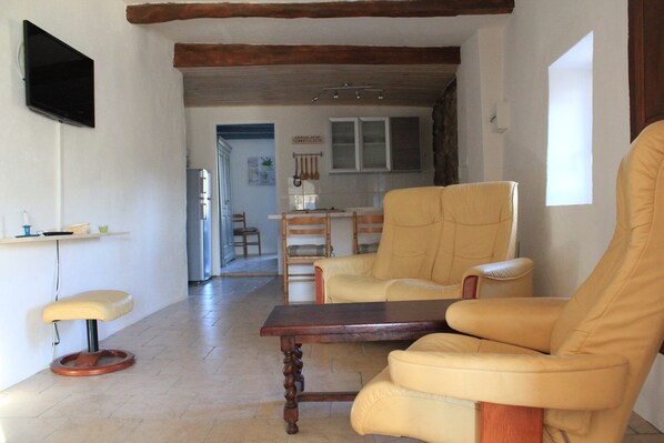 TV, fireplace, books, music library