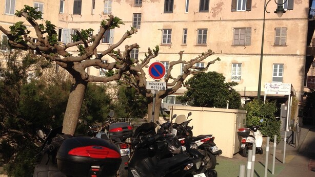 A row of parked motorcycles along a street with a no parking sign, buildings in the background, and a tree with sparse leaves. - Apartment/ flat - Bonifacio (Bonifacio)