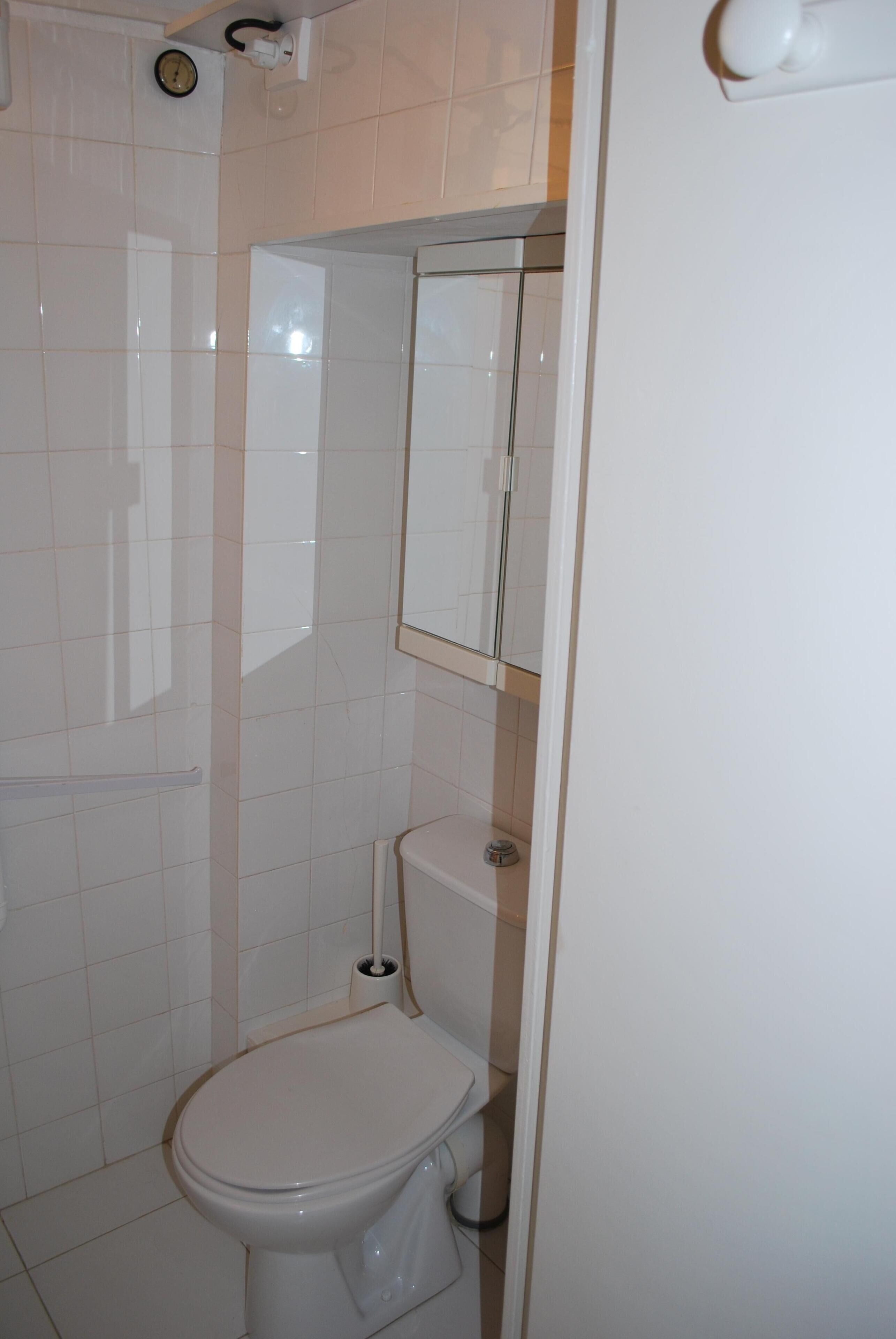 A bathroom with a toilet, a mirror, and a shower area.