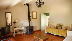 TV, DVD player, books - Spacious Provençal apartment at the heart of an organic vineyard (Vacqueyras)
